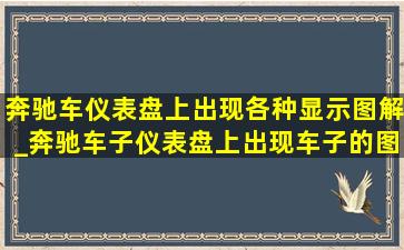 奔驰车仪表盘上出现各种显示图解_奔驰车子仪表盘上出现车子的图像