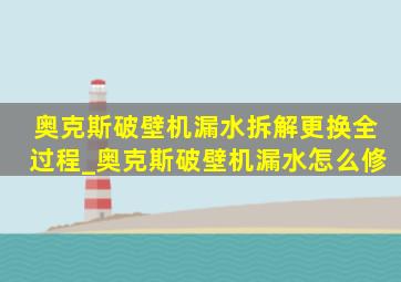 奥克斯破壁机漏水拆解更换全过程_奥克斯破壁机漏水怎么修