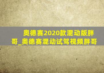 奥德赛2020款混动版胖哥_奥德赛混动试驾视频胖哥