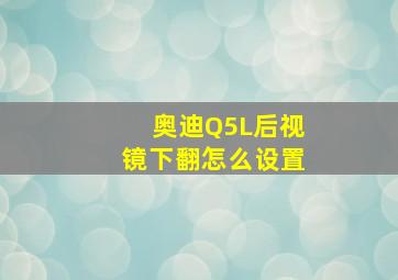 奥迪Q5L后视镜下翻怎么设置