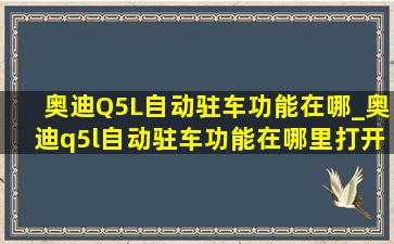 奥迪Q5L自动驻车功能在哪_奥迪q5l自动驻车功能在哪里打开