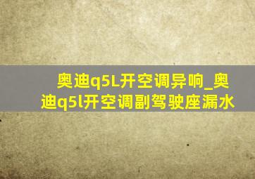 奥迪q5L开空调异响_奥迪q5l开空调副驾驶座漏水