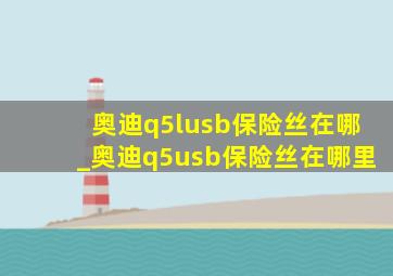 奥迪q5lusb保险丝在哪_奥迪q5usb保险丝在哪里