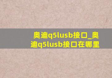 奥迪q5lusb接口_奥迪q5lusb接口在哪里