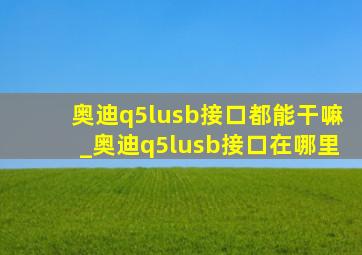 奥迪q5lusb接口都能干嘛_奥迪q5lusb接口在哪里