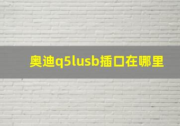 奥迪q5lusb插口在哪里