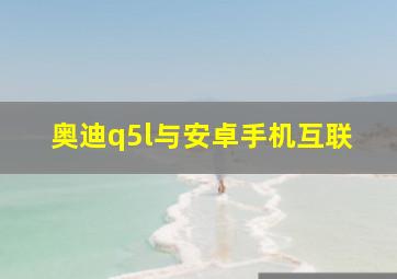 奥迪q5l与安卓手机互联