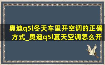 奥迪q5l冬天车里开空调的正确方式_奥迪q5l夏天空调怎么开