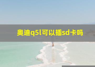 奥迪q5l可以插sd卡吗