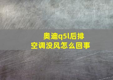 奥迪q5l后排空调没风怎么回事