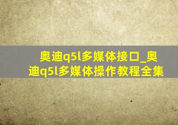 奥迪q5l多媒体接口_奥迪q5l多媒体操作教程全集