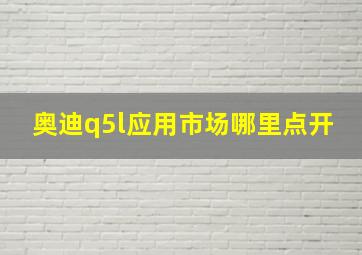 奥迪q5l应用市场哪里点开