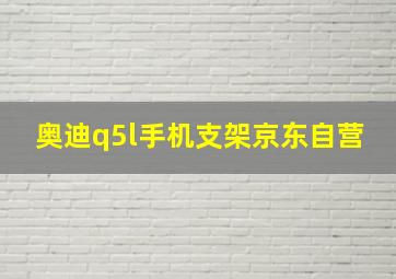 奥迪q5l手机支架京东自营