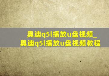 奥迪q5l播放u盘视频_奥迪q5l播放u盘视频教程