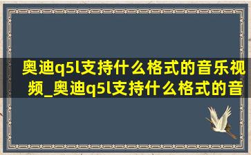 奥迪q5l支持什么格式的音乐视频_奥迪q5l支持什么格式的音乐