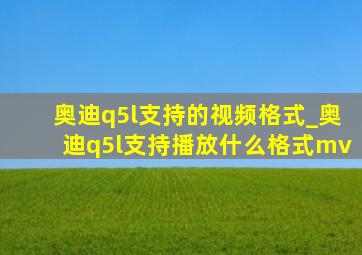 奥迪q5l支持的视频格式_奥迪q5l支持播放什么格式mv