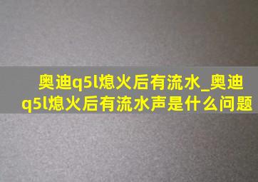 奥迪q5l熄火后有流水_奥迪q5l熄火后有流水声是什么问题