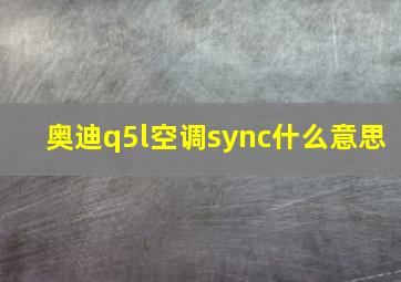 奥迪q5l空调sync什么意思