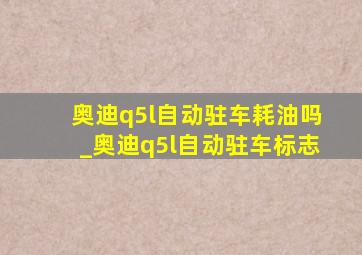 奥迪q5l自动驻车耗油吗_奥迪q5l自动驻车标志