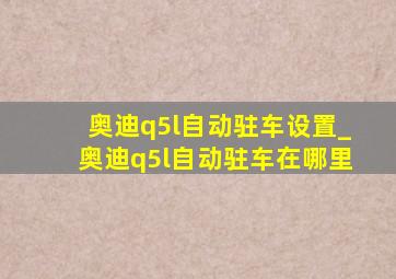 奥迪q5l自动驻车设置_奥迪q5l自动驻车在哪里