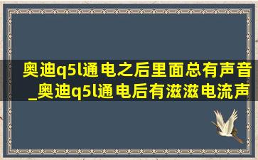 奥迪q5l通电之后里面总有声音_奥迪q5l通电后有滋滋电流声音