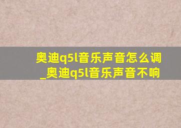 奥迪q5l音乐声音怎么调_奥迪q5l音乐声音不响