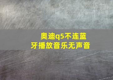 奥迪q5不连蓝牙播放音乐无声音