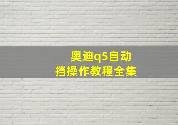 奥迪q5自动挡操作教程全集