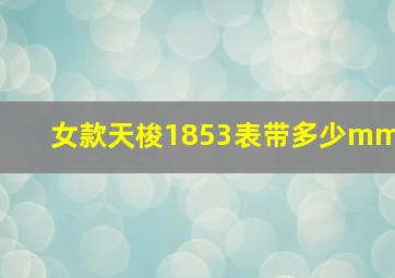 女款天梭1853表带多少mm