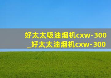 好太太吸油烟机cxw-300_好太太油烟机cxw-300