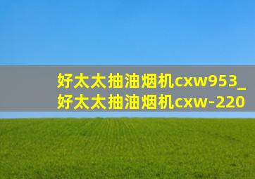 好太太抽油烟机cxw953_好太太抽油烟机cxw-220