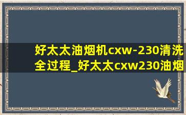 好太太油烟机cxw-230清洗全过程_好太太cxw230油烟机怎么清洗