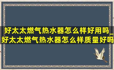 好太太燃气热水器怎么样好用吗_好太太燃气热水器怎么样质量好吗