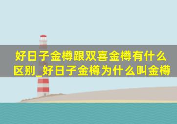 好日子金樽跟双喜金樽有什么区别_好日子金樽为什么叫金樽