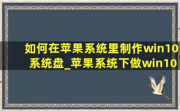 如何在苹果系统里制作win10系统盘_苹果系统下做win10系统教程