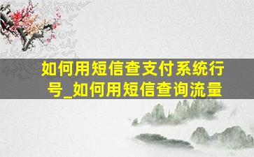 如何用短信查支付系统行号_如何用短信查询流量