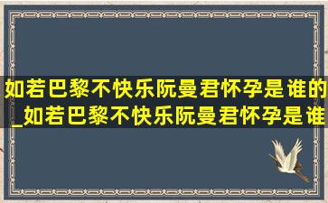 如若巴黎不快乐阮曼君怀孕是谁的_如若巴黎不快乐阮曼君怀孕是谁的孩子