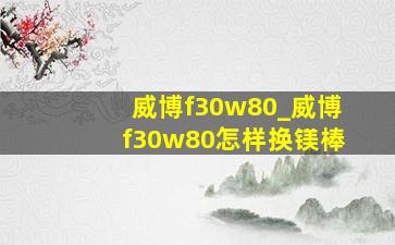 威博f30w80_威博f30w80怎样换镁棒