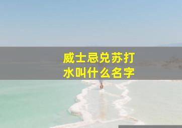 威士忌兑苏打水叫什么名字