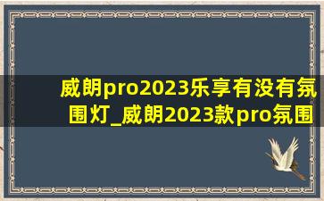 威朗pro2023乐享有没有氛围灯_威朗2023款pro氛围灯自带