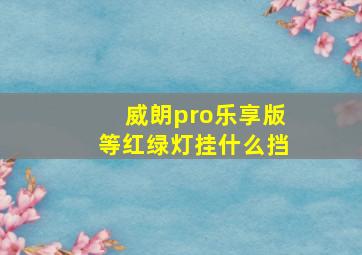 威朗pro乐享版等红绿灯挂什么挡