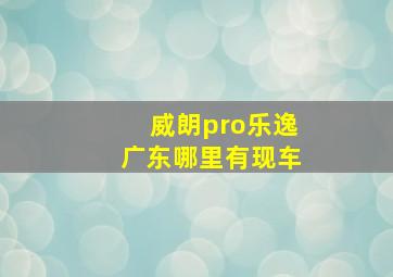 威朗pro乐逸广东哪里有现车