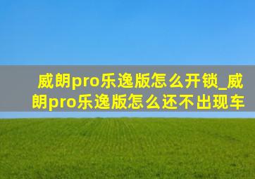 威朗pro乐逸版怎么开锁_威朗pro乐逸版怎么还不出现车