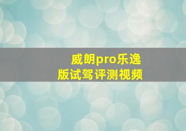 威朗pro乐逸版试驾评测视频