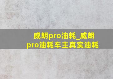 威朗pro油耗_威朗pro油耗车主真实油耗