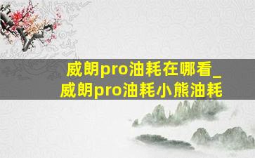 威朗pro油耗在哪看_威朗pro油耗小熊油耗