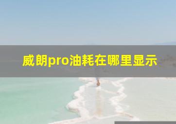 威朗pro油耗在哪里显示