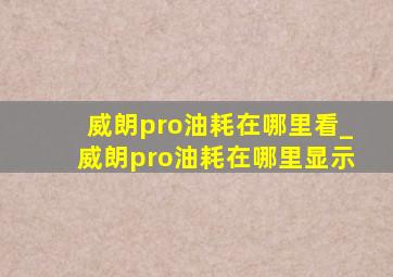 威朗pro油耗在哪里看_威朗pro油耗在哪里显示