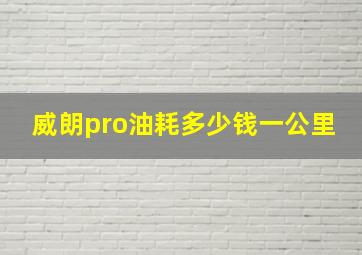 威朗pro油耗多少钱一公里