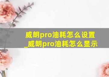 威朗pro油耗怎么设置_威朗pro油耗怎么显示